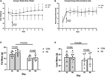 Effects of an exogenous ketone ester using multi-omics in skeletal muscle of aging C57BL/6J male mice